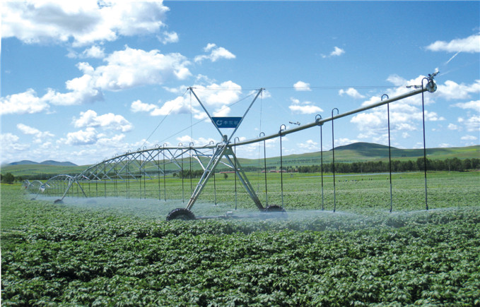 W020150513293866525891