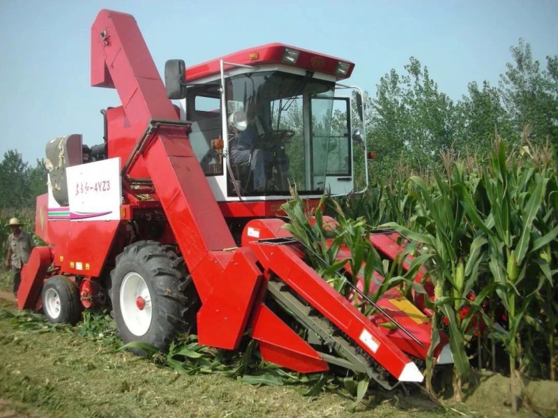 首页-人生就是博中国官方网站